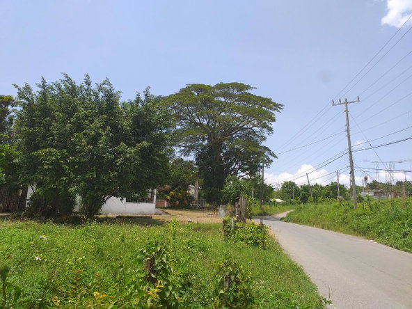 Ninth image of Shenton, Bog Walk in Shenton, St. Catherine, Jamaica - property is For Sale