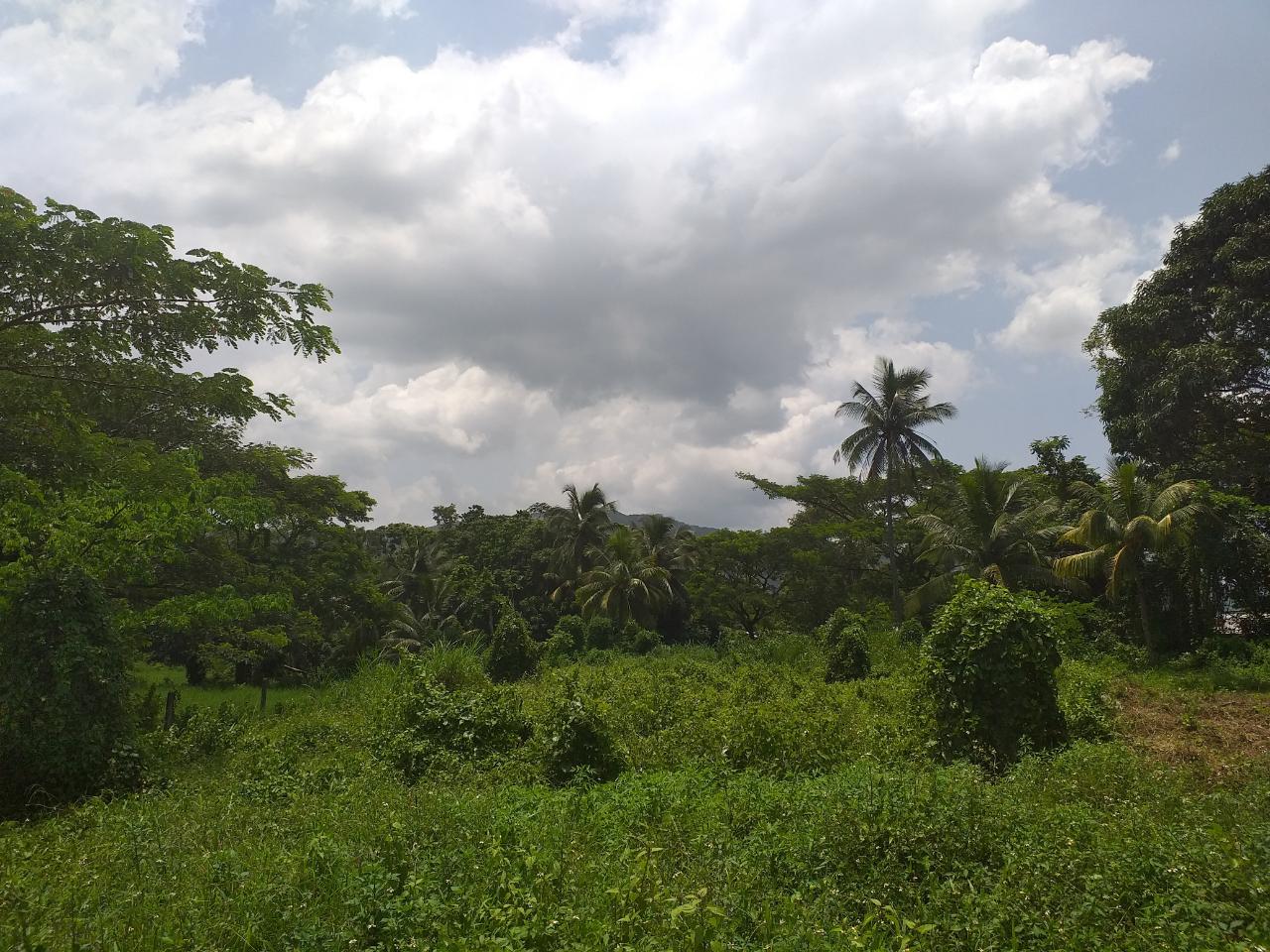 Tenth image of Shenton, Bog Walk in Shenton, St. Catherine, Jamaica - property is For Sale