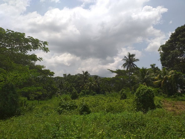Tenth image of Shenton, Bog Walk in Shenton, St. Catherine, Jamaica - property is For Sale