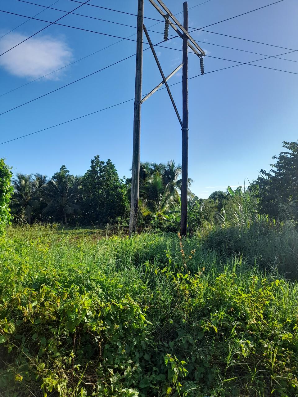 Fourth image of Lot 21 Prospect dr Osbourn Store in Osbourne Store, Clarendon, Jamaica - property is For Sale