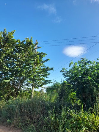 Fifth image of Lot 21 Prospect dr Osbourn Store in Osbourne Store, Clarendon, Jamaica - property is For Sale