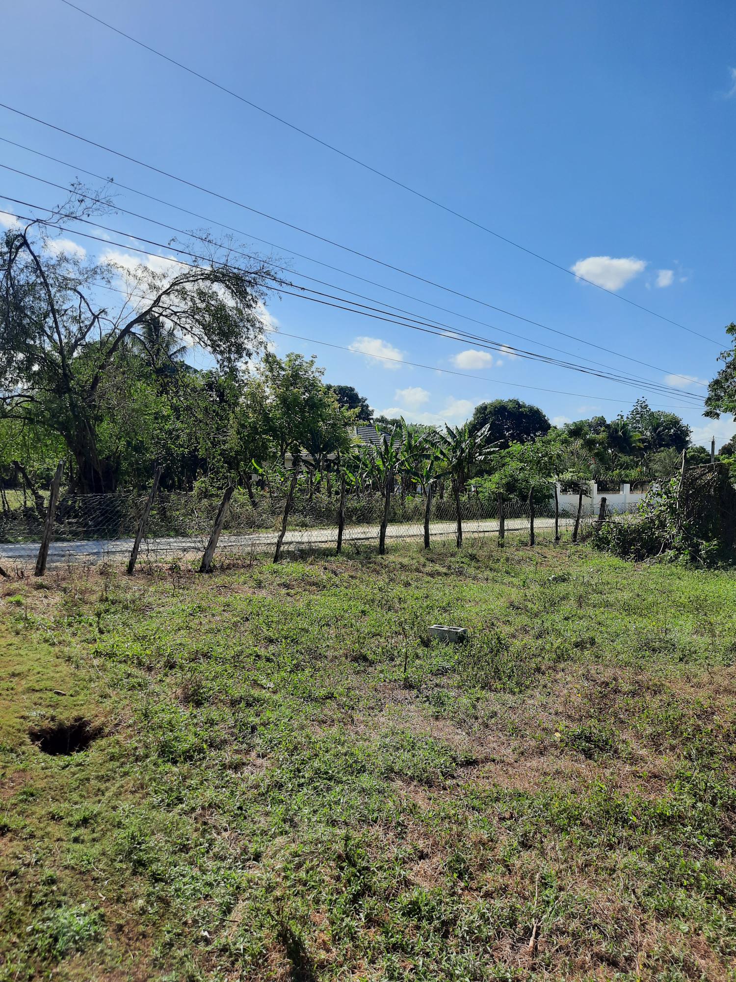 Eleventh image of 35 Goshen, St. Elizabeth in Santa Cruz, St. Elizabeth, Jamaica - property is For Sale
