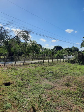 Eleventh image of 35 Goshen, St. Elizabeth in Santa Cruz, St. Elizabeth, Jamaica - property is For Sale