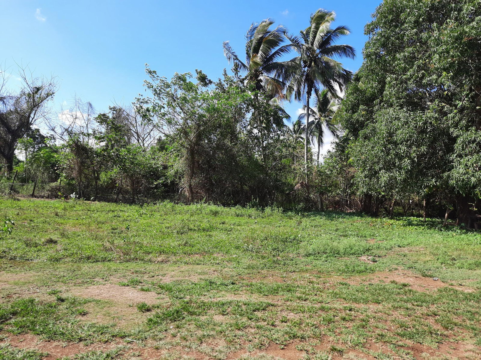 Twelfth image of 35 Goshen, St. Elizabeth in Santa Cruz, St. Elizabeth, Jamaica - property is For Sale