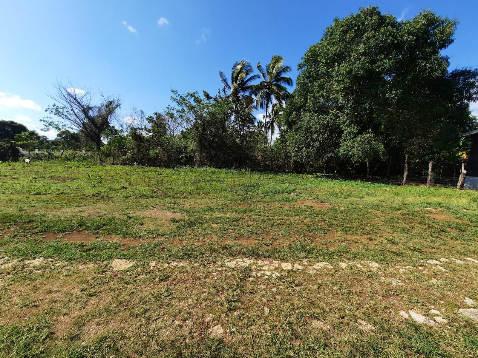 Thirteenth image of 35 Goshen, St. Elizabeth in Santa Cruz, St. Elizabeth, Jamaica - property is For Sale