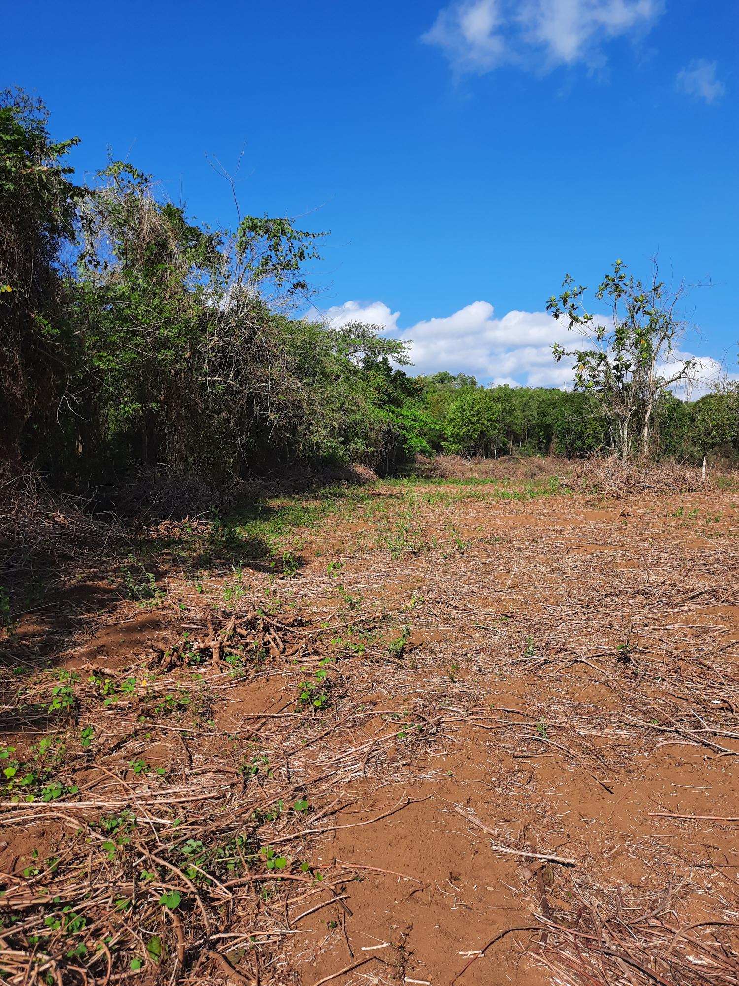 Fifth image of 35 Goshen, St. Elizabeth in Santa Cruz, St. Elizabeth, Jamaica - property is For Sale