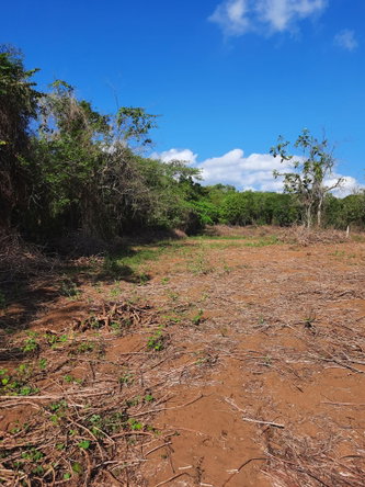 Fifth image of 35 Goshen, St. Elizabeth in Santa Cruz, St. Elizabeth, Jamaica - property is For Sale