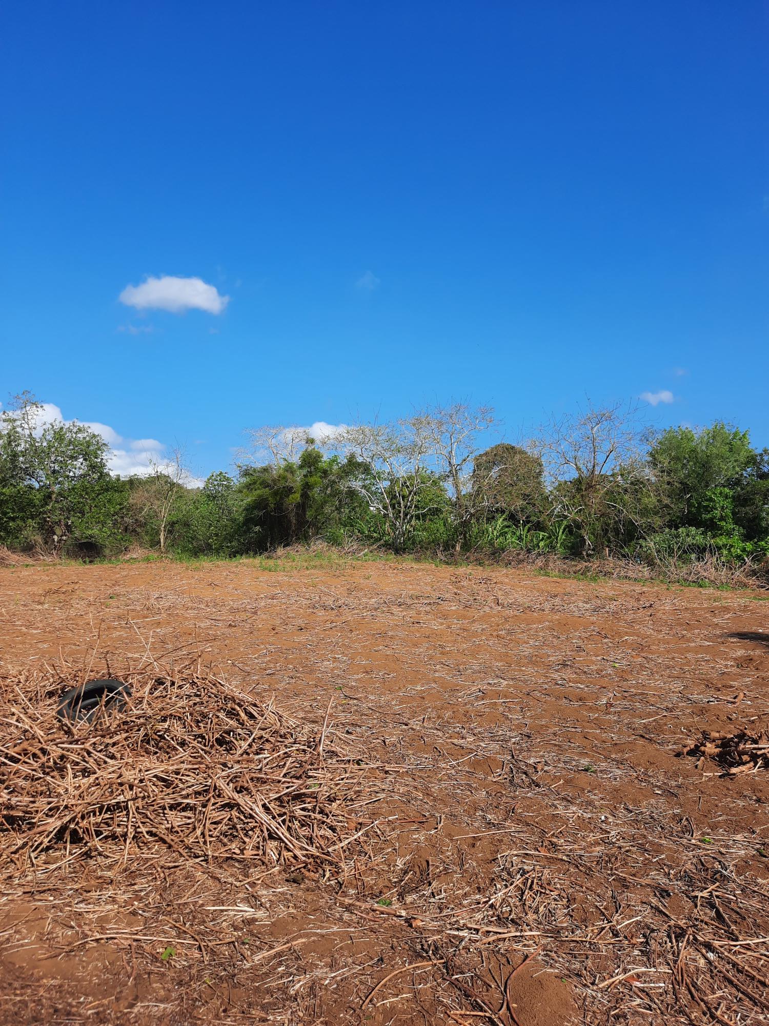Seventh image of 35 Goshen, St. Elizabeth in Santa Cruz, St. Elizabeth, Jamaica - property is For Sale