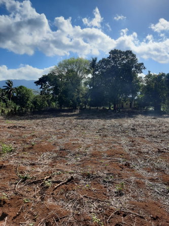 Eighth image of 35 Goshen, St. Elizabeth in Santa Cruz, St. Elizabeth, Jamaica - property is For Sale