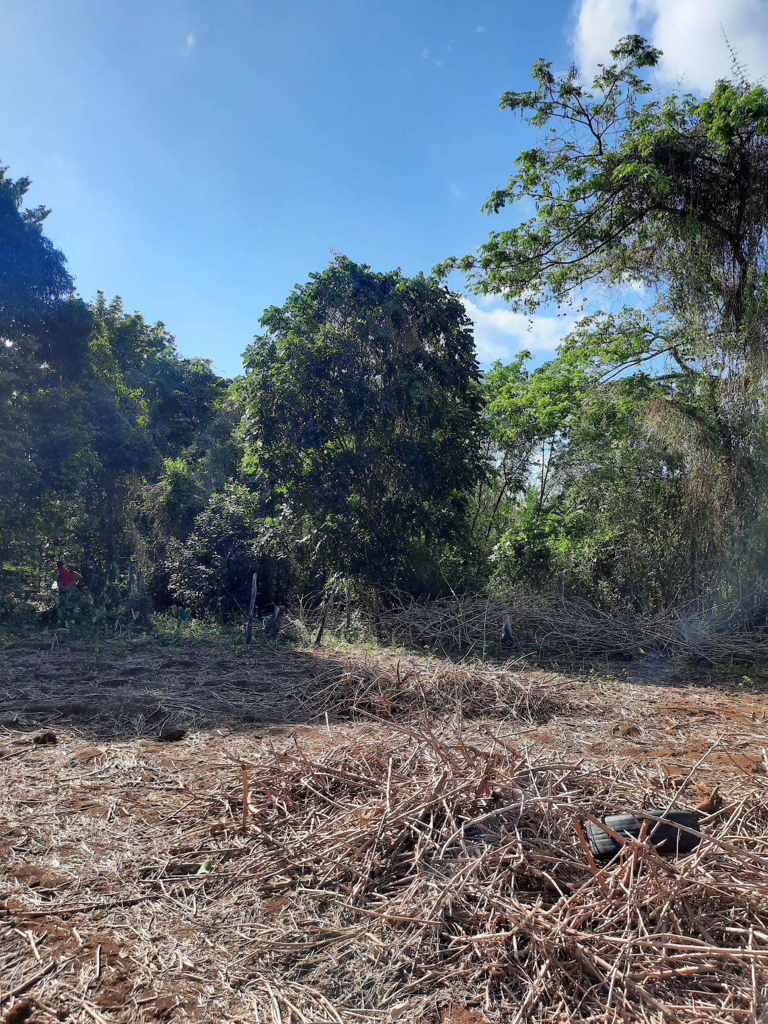 Ninth image of 35 Goshen, St. Elizabeth in Santa Cruz, St. Elizabeth, Jamaica - property is For Sale