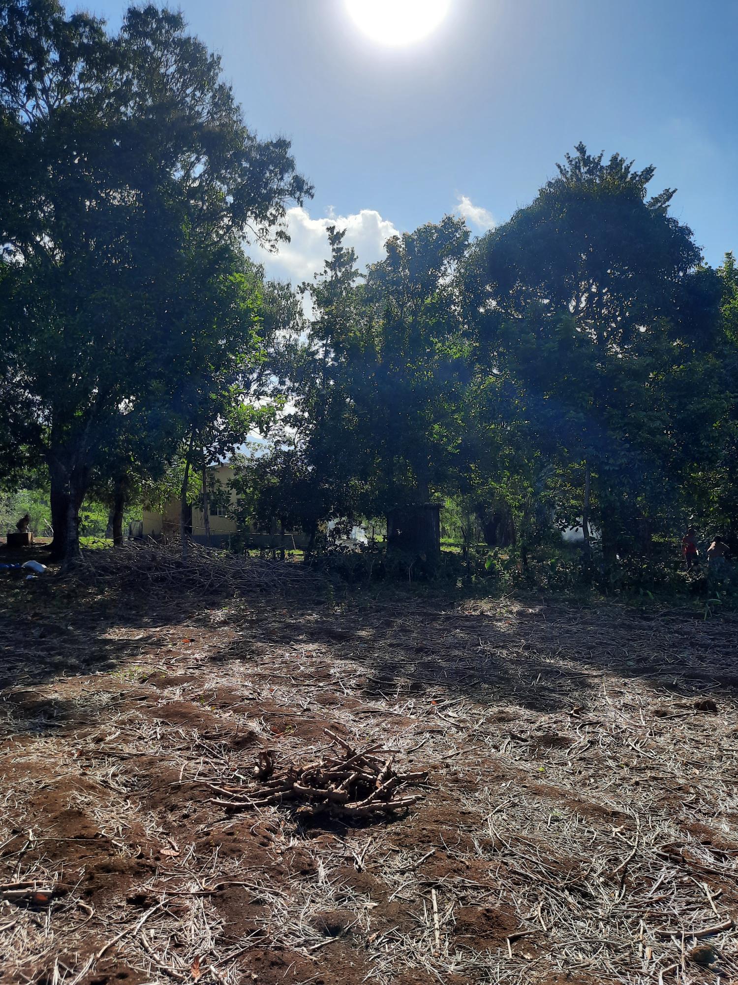 Tenth image of 35 Goshen, St. Elizabeth in Santa Cruz, St. Elizabeth, Jamaica - property is For Sale