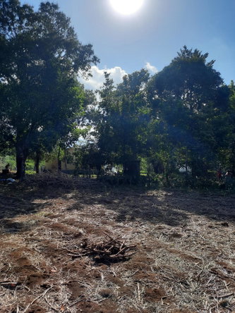 Tenth image of 35 Goshen, St. Elizabeth in Santa Cruz, St. Elizabeth, Jamaica - property is For Sale