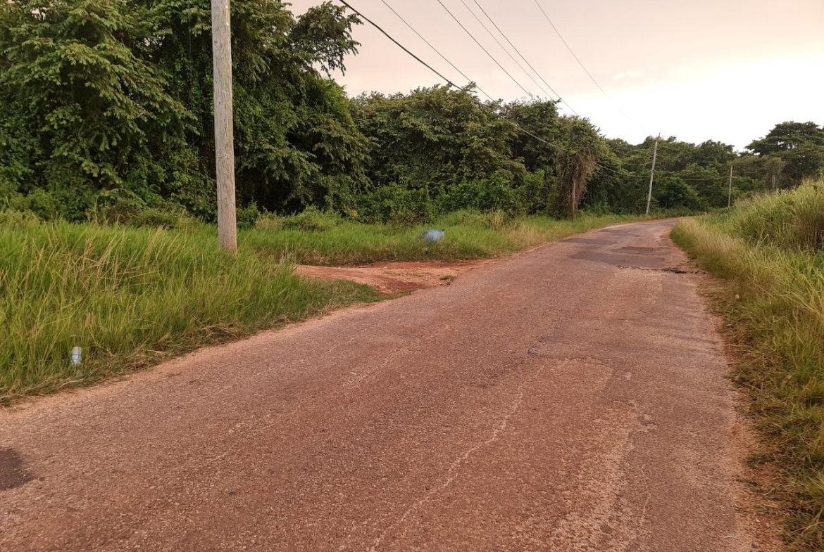 Second image of Big Yard Road , Top Hill in Top Hill, St. Elizabeth, Jamaica - property is For Sale