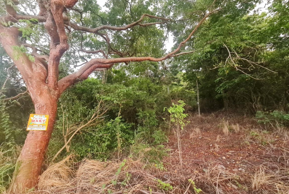 Eleventh image of Big Yard Road , Top Hill in Top Hill, St. Elizabeth, Jamaica - property is For Sale