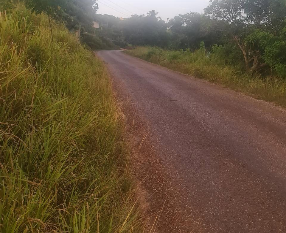 Twelfth image of Big Yard Road , Top Hill in Top Hill, St. Elizabeth, Jamaica - property is For Sale