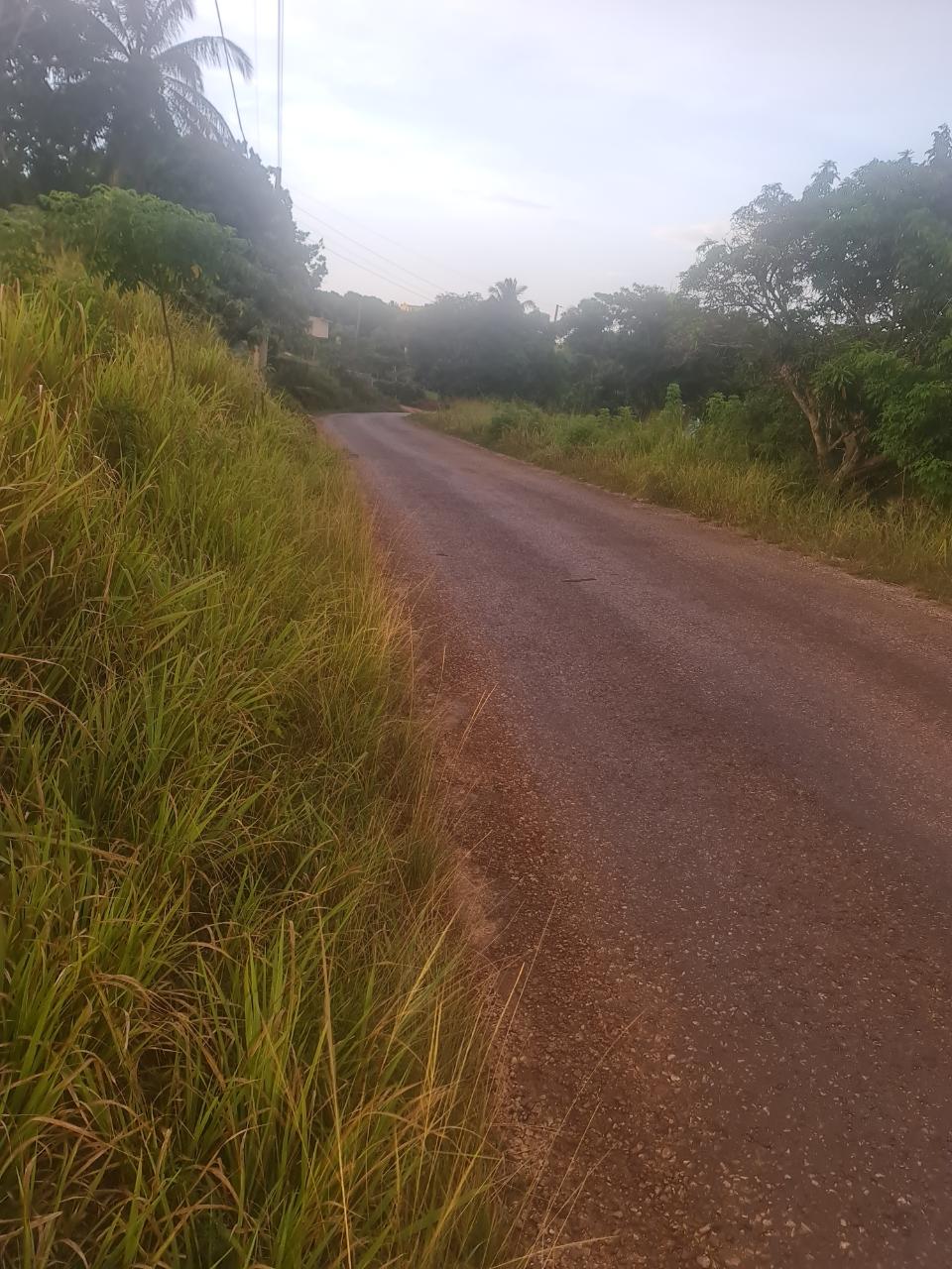 Twelfth image of Big Yard Road , Top Hill in Top Hill, St. Elizabeth, Jamaica - property is For Sale