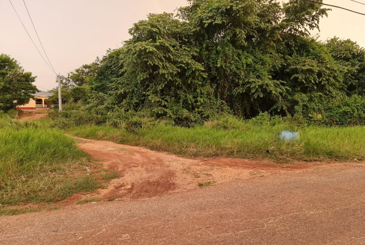 First image of Big Yard Road , Top Hill in Top Hill, St. Elizabeth, Jamaica - property is For Sale