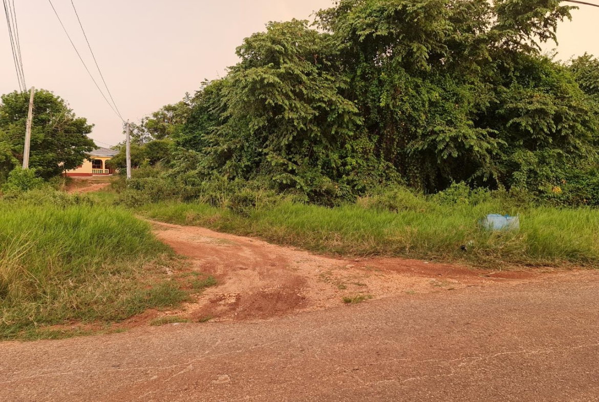 Third image of Big Yard Road , Top Hill in Top Hill, St. Elizabeth, Jamaica - property is For Sale