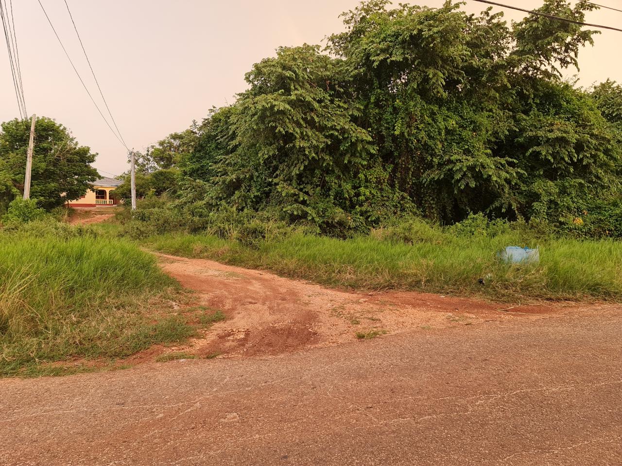 Third image of Big Yard Road , Top Hill in Top Hill, St. Elizabeth, Jamaica - property is For Sale