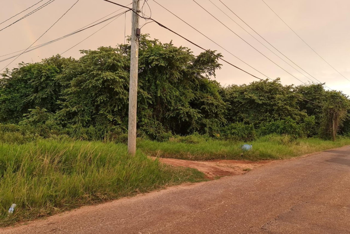 Fourth image of Big Yard Road , Top Hill in Top Hill, St. Elizabeth, Jamaica - property is For Sale