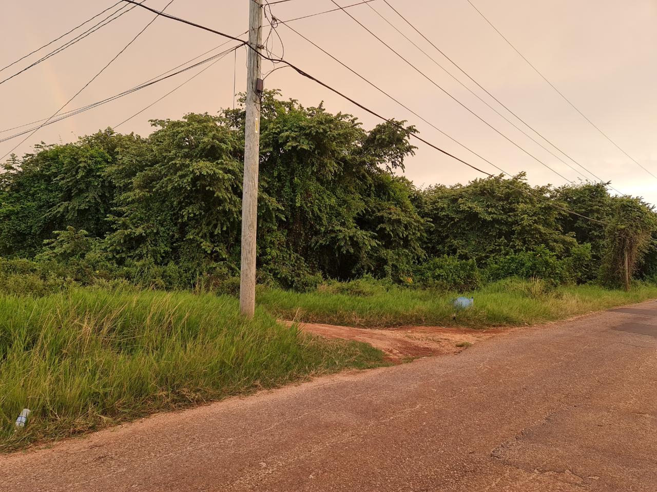 Fourth image of Big Yard Road , Top Hill in Top Hill, St. Elizabeth, Jamaica - property is For Sale