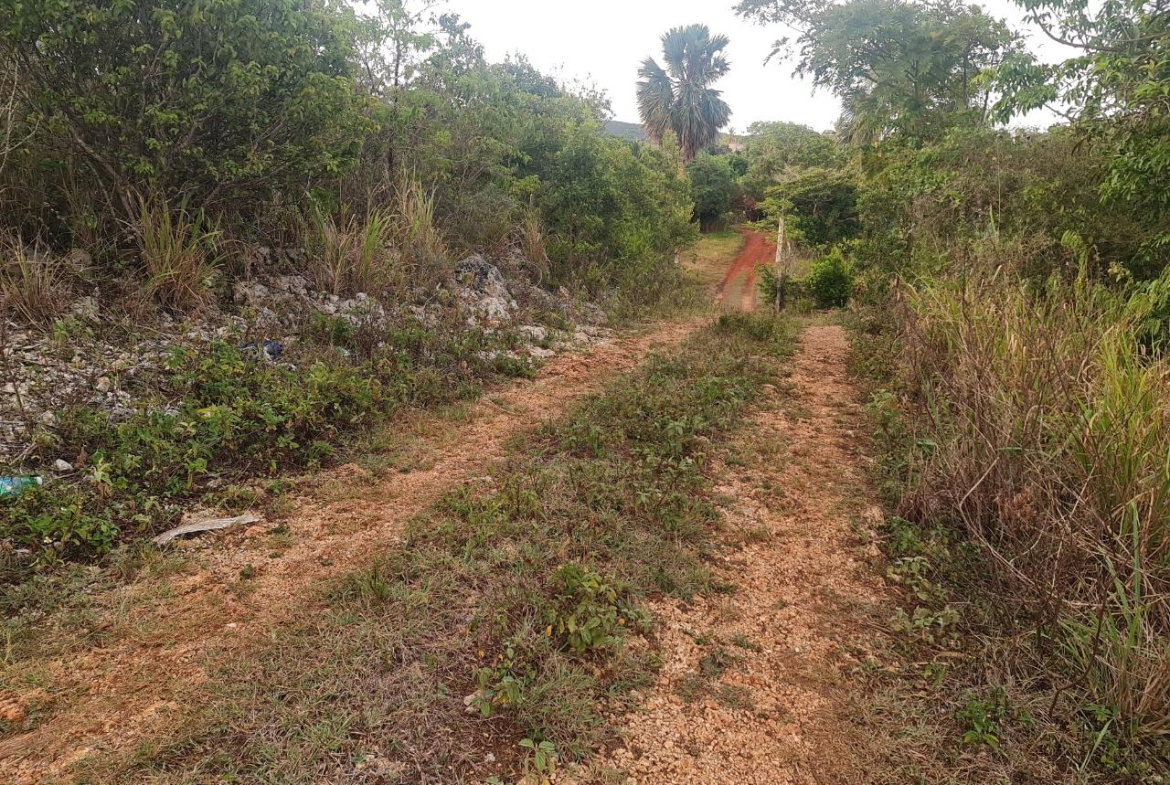 Fifth image of Big Yard Road , Top Hill in Top Hill, St. Elizabeth, Jamaica - property is For Sale