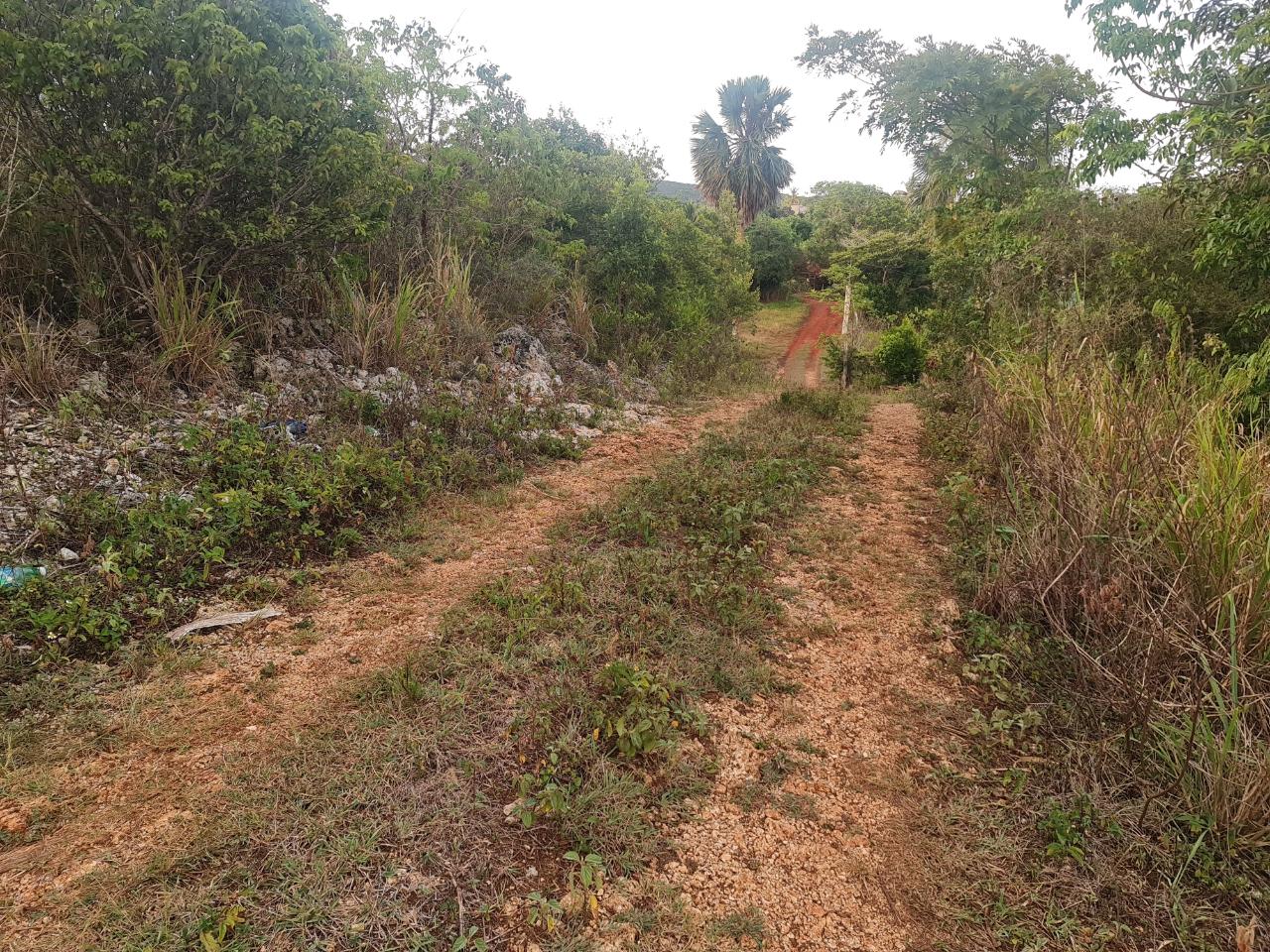 Fifth image of Big Yard Road , Top Hill in Top Hill, St. Elizabeth, Jamaica - property is For Sale