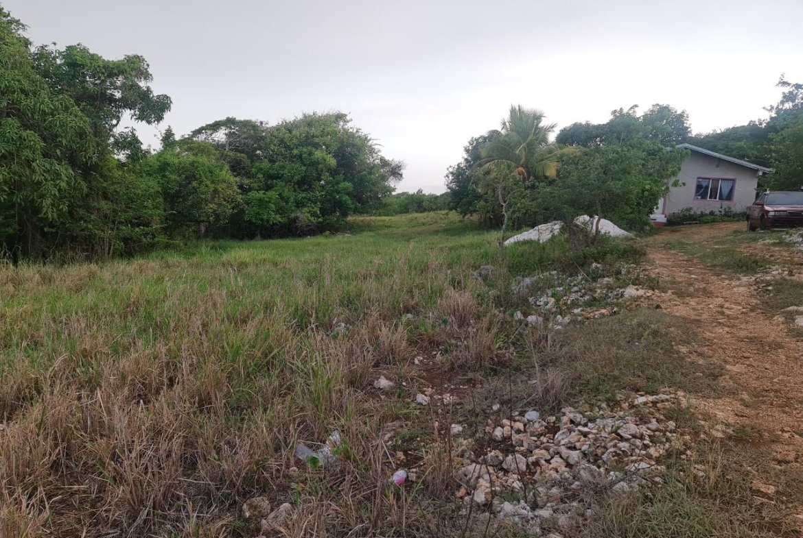 Sixth image of Big Yard Road , Top Hill in Top Hill, St. Elizabeth, Jamaica - property is For Sale
