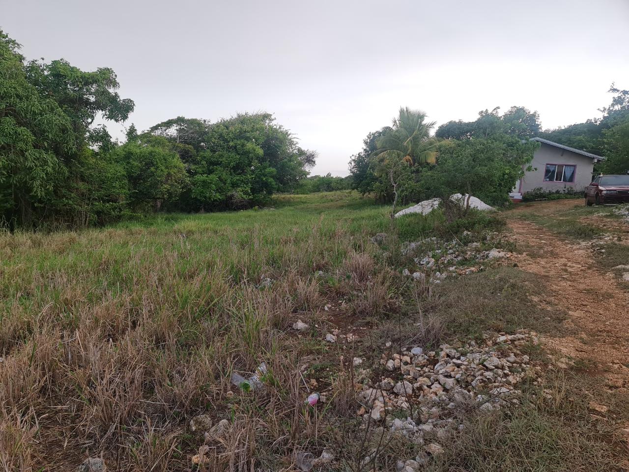 Sixth image of Big Yard Road , Top Hill in Top Hill, St. Elizabeth, Jamaica - property is For Sale