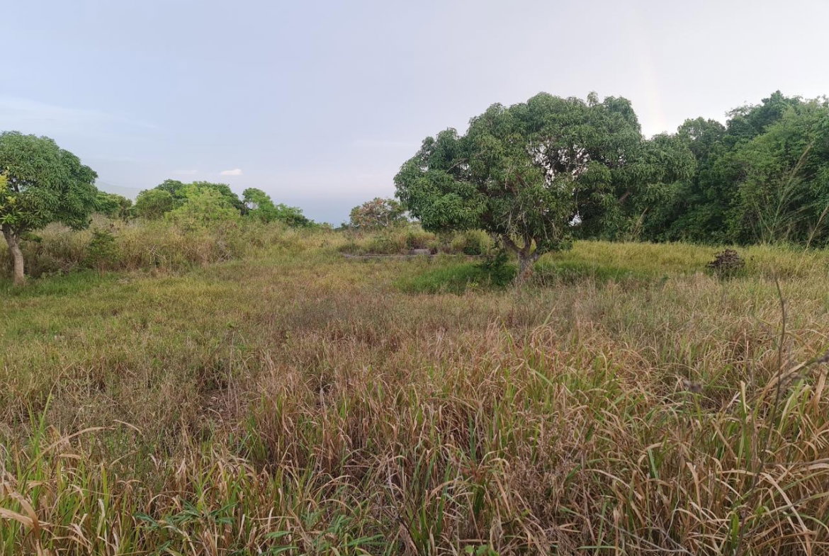 Seventh image of Big Yard Road , Top Hill in Top Hill, St. Elizabeth, Jamaica - property is For Sale