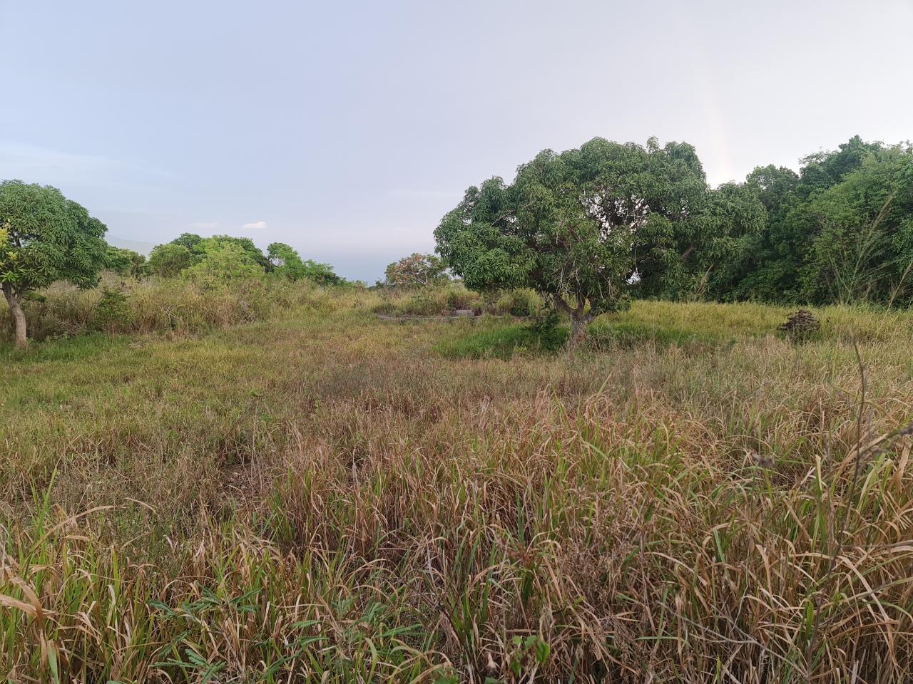 Seventh image of Big Yard Road , Top Hill in Top Hill, St. Elizabeth, Jamaica - property is For Sale