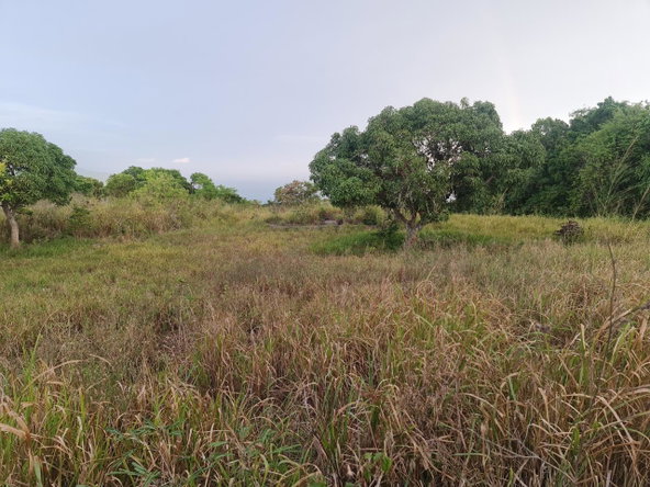 Seventh image of Big Yard Road , Top Hill in Top Hill, St. Elizabeth, Jamaica - property is For Sale