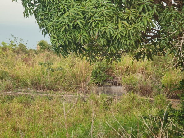 Ninth image of Big Yard Road , Top Hill in Top Hill, St. Elizabeth, Jamaica - property is For Sale