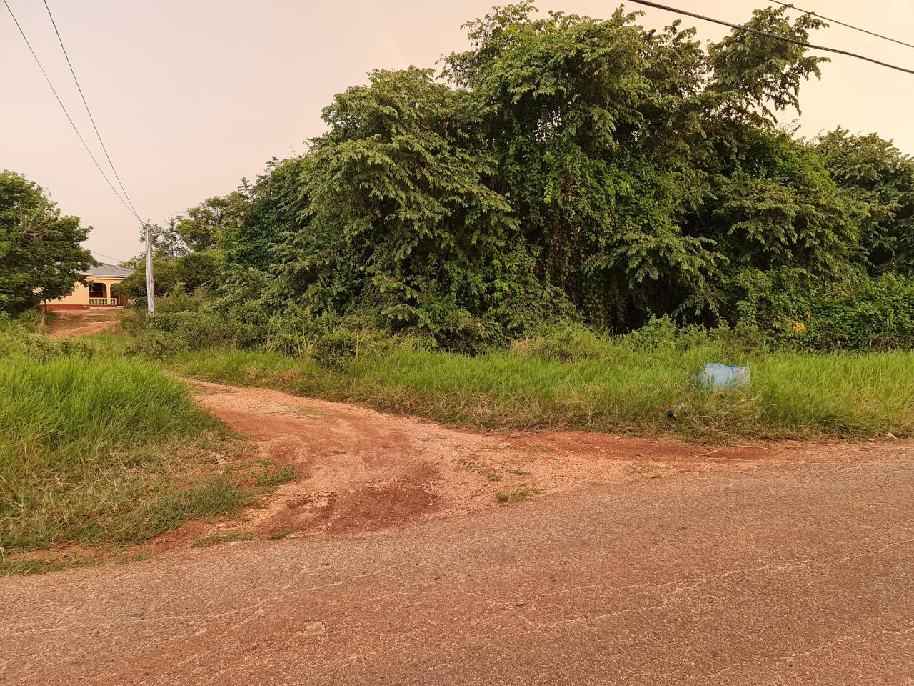 First image of Big Yard Road , Top Hill in Top Hill, St. Elizabeth, Jamaica - property is For Sale