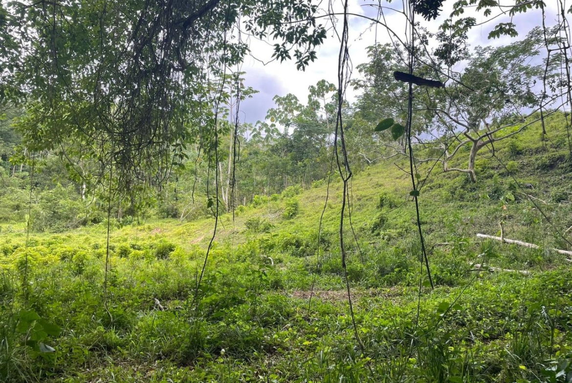 Second image of 25b Part of Fort George in Annotto Bay, St. Mary, Jamaica - property is For Sale