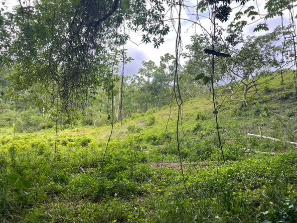 Second image of 25b Part of Fort George in Annotto Bay, St. Mary, Jamaica - property is For Sale