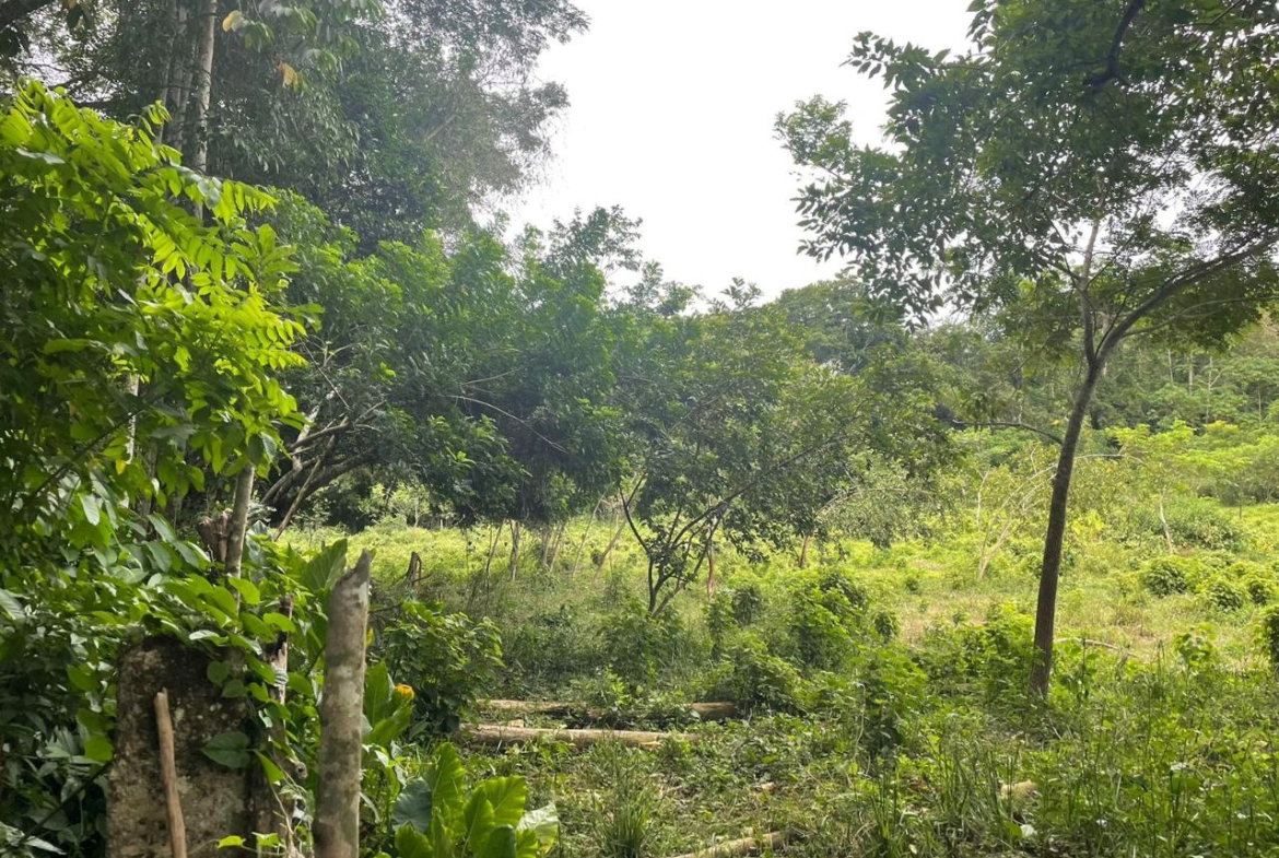First image of 25b Part of Fort George in Annotto Bay, St. Mary, Jamaica - property is For Sale
