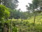 First image of 25b Part of Fort George in Annotto Bay, St. Mary, Jamaica - property is For Sale