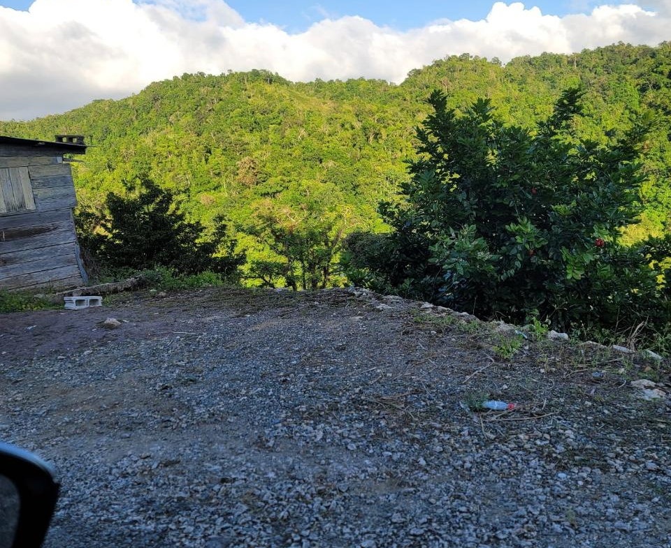 Second image of Part of Freeman Hall in Ulster Spring, Trelawny, Jamaica - property is For Sale