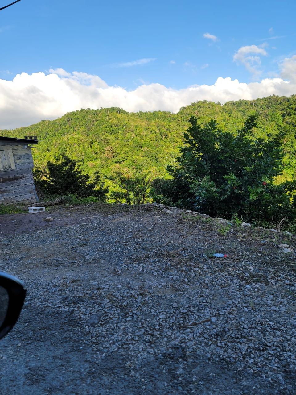 30.35-Acres-of-Prime-Development-Land-in-Trelawny-Jamaica Second image of Part of Freeman Hall in Ulster Spring, Trelawny, Jamaica - property is For Sale