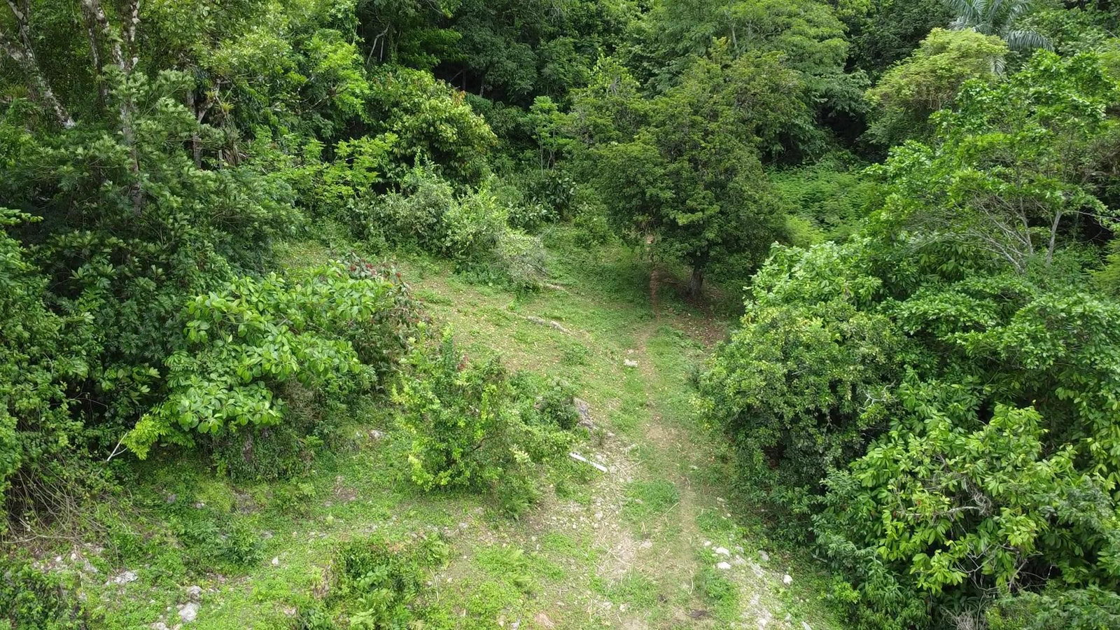 30.35-Acres-of-Prime-Development-Land-in-Trelawny-Jamaica Thirteenth image of Part of Freeman Hall in Ulster Spring, Trelawny, Jamaica - property is For Sale