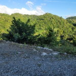 First image of Part of Freeman Hall in Ulster Spring, Trelawny, Jamaica - property is For Sale