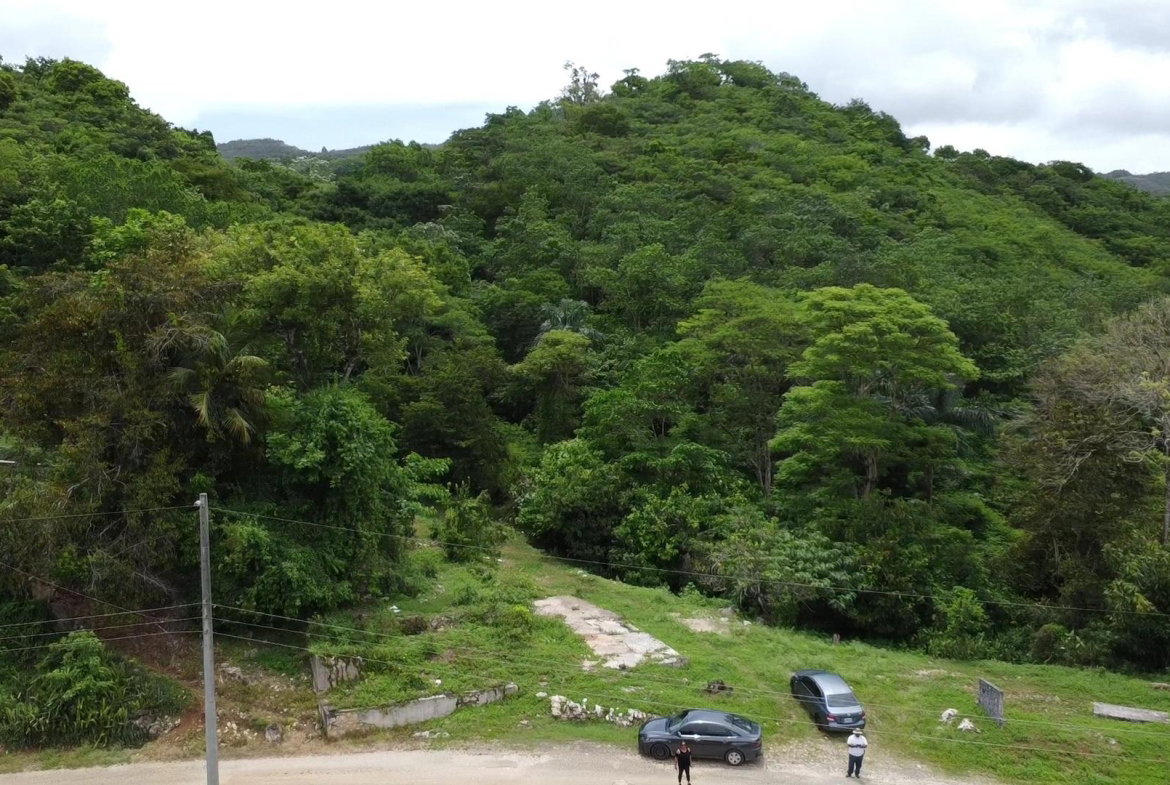 Seventeenth image of Part of Freeman Hall in Ulster Spring, Trelawny, Jamaica - property is For Sale