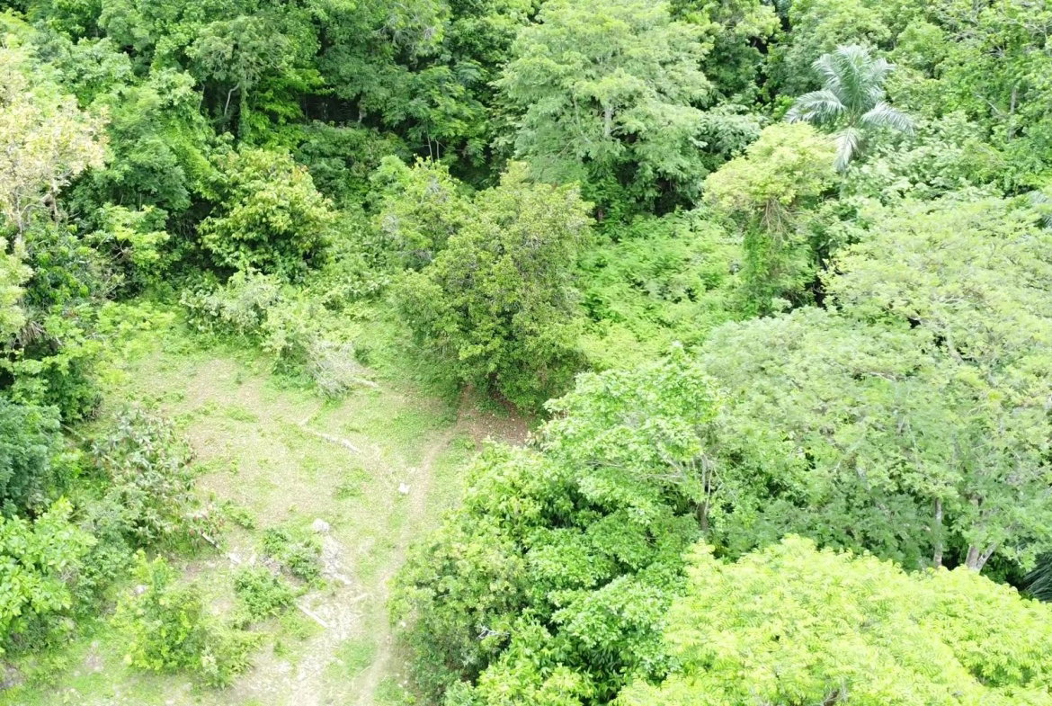 Eighteenth image of Part of Freeman Hall in Ulster Spring, Trelawny, Jamaica - property is For Sale