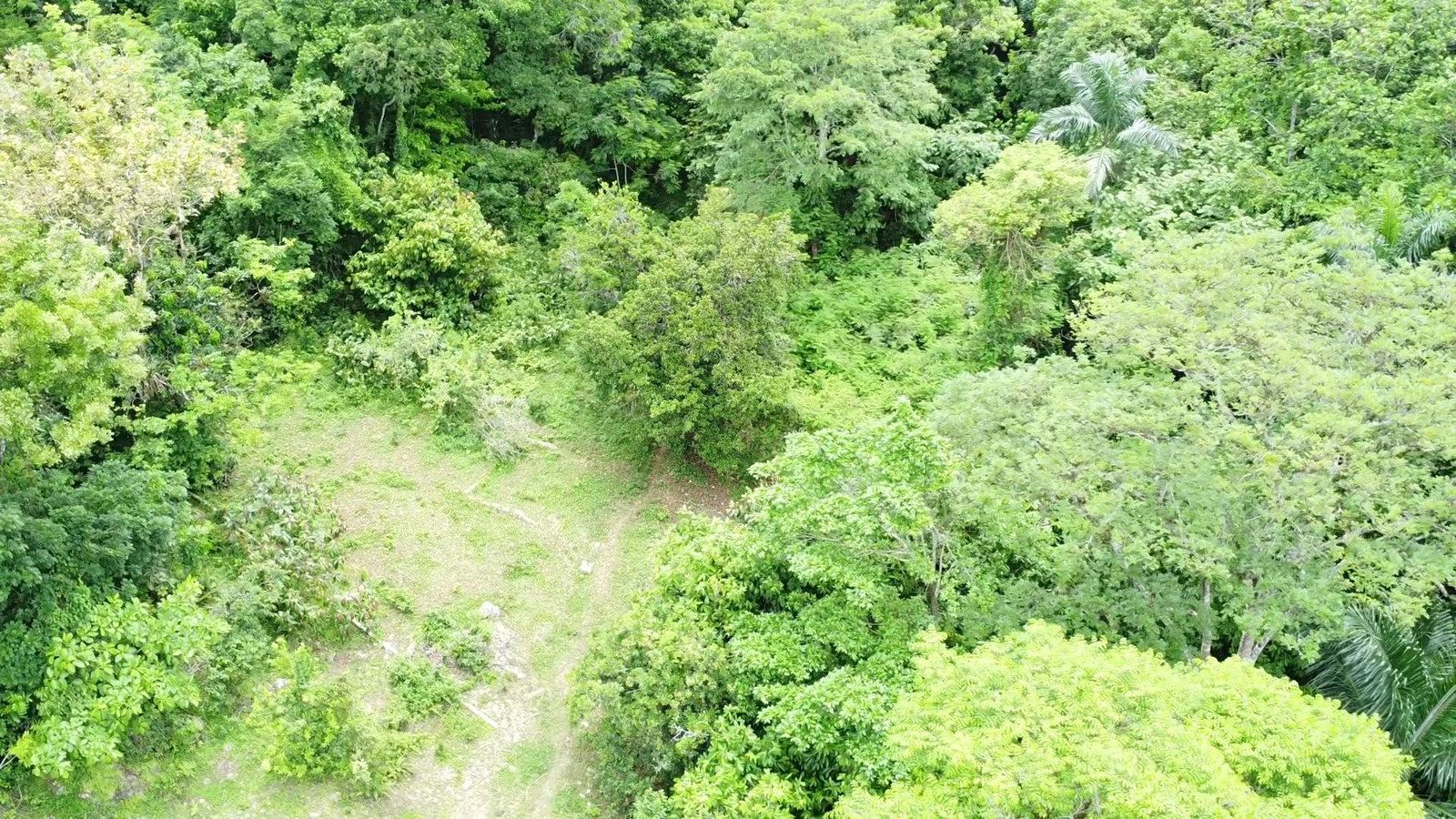 30.35-Acres-of-Prime-Development-Land-in-Trelawny-Jamaica Eighteenth image of Part of Freeman Hall in Ulster Spring, Trelawny, Jamaica - property is For Sale