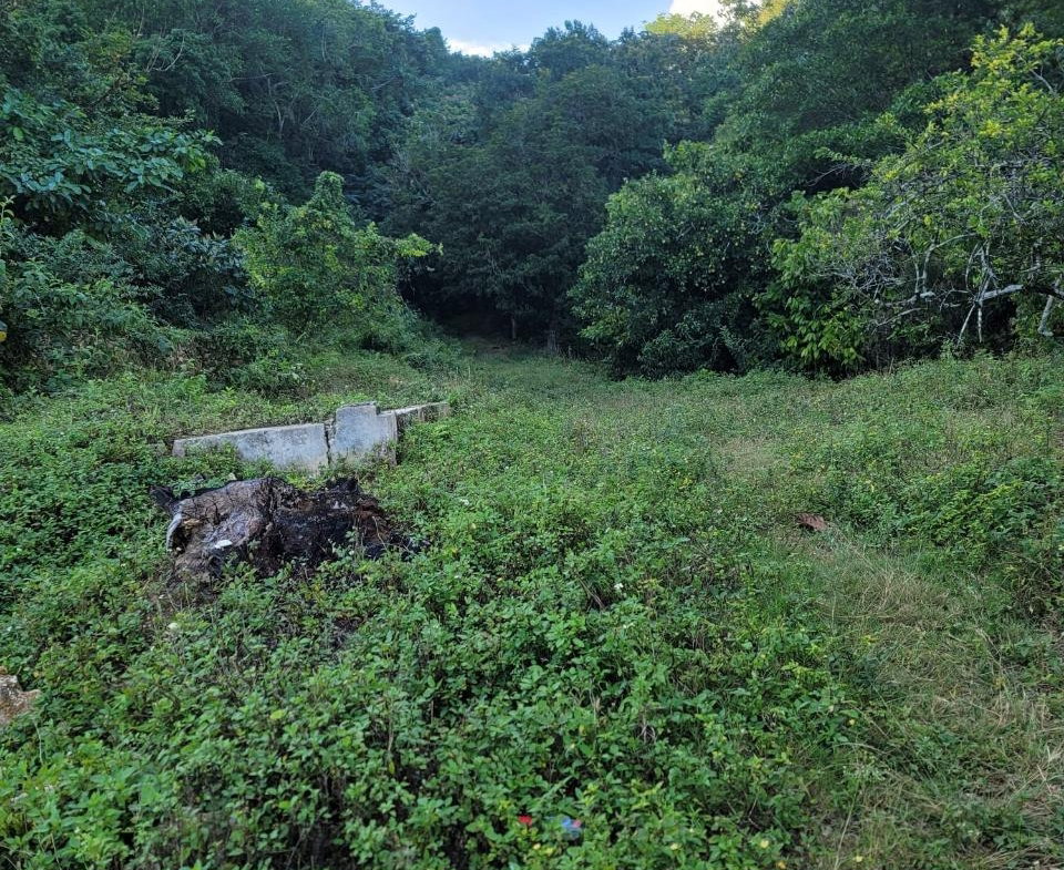 Third image of Part of Freeman Hall in Ulster Spring, Trelawny, Jamaica - property is For Sale