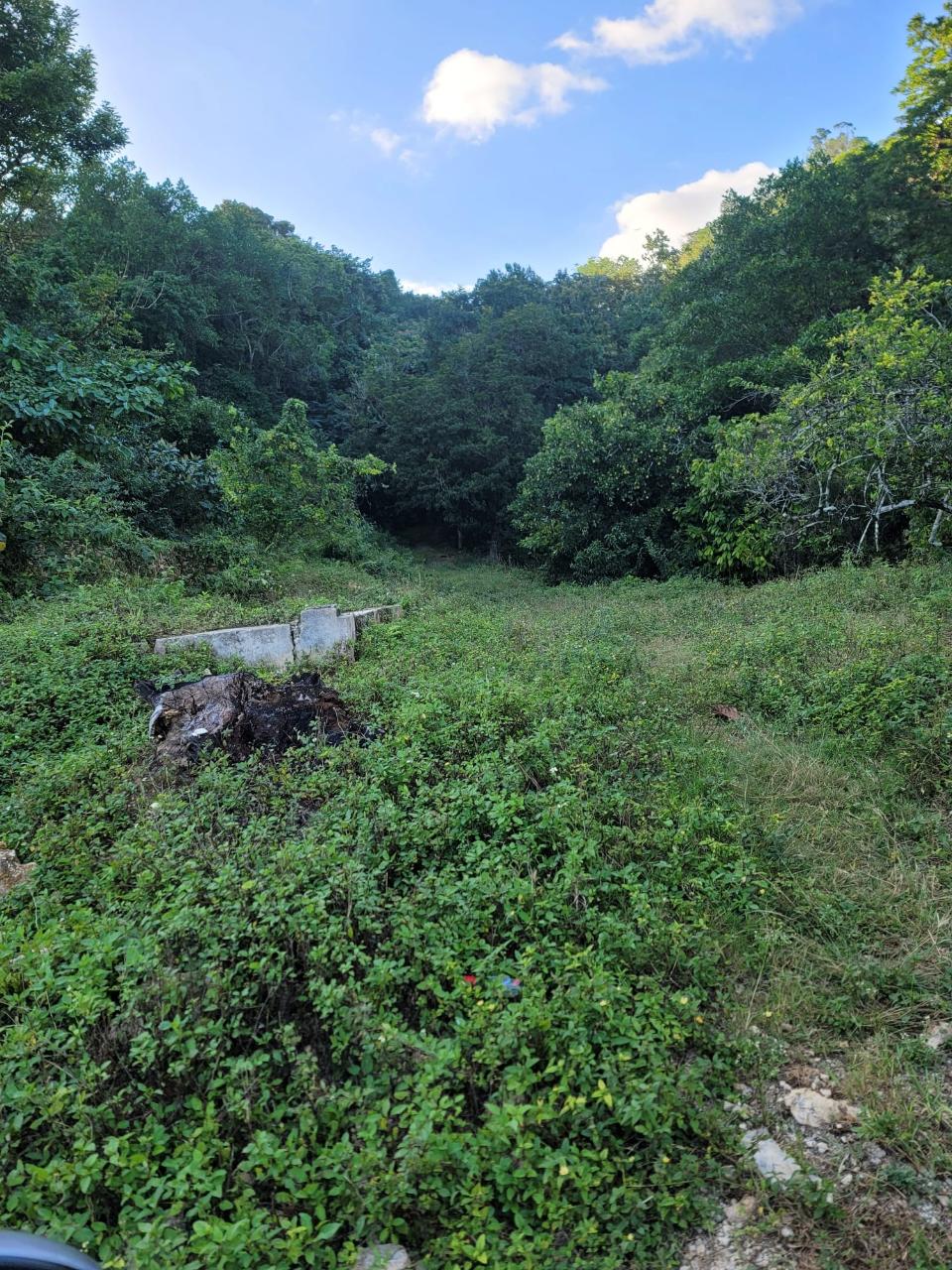 30.35-Acres-of-Prime-Development-Land-in-Trelawny-Jamaica Third image of Part of Freeman Hall in Ulster Spring, Trelawny, Jamaica - property is For Sale