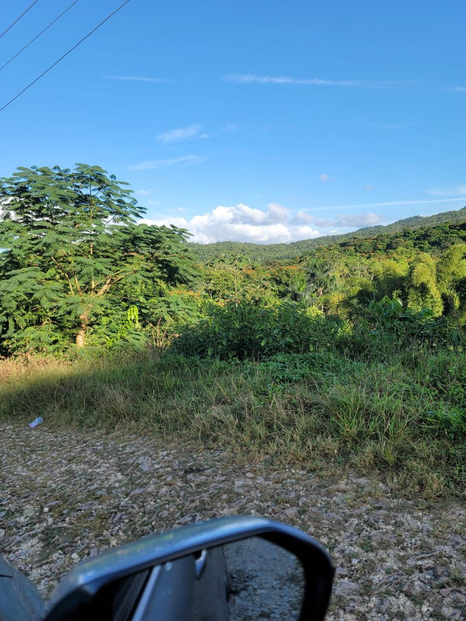 30.35-Acres-of-Prime-Development-Land-in-Trelawny-Jamaica Fifth image of Part of Freeman Hall in Ulster Spring, Trelawny, Jamaica - property is For Sale