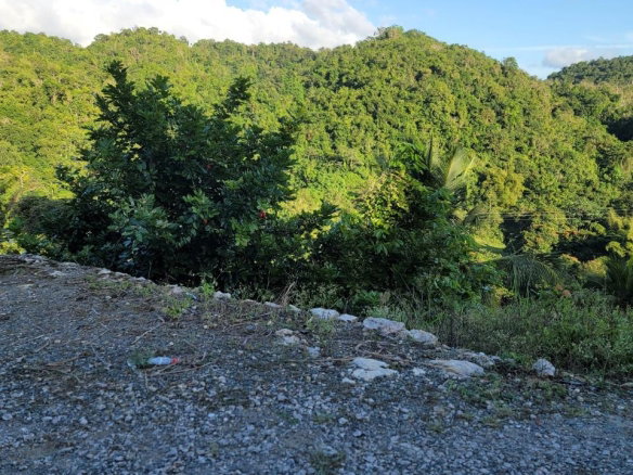 First image of Part of Freeman Hall in Ulster Spring, Trelawny, Jamaica - property is For Sale