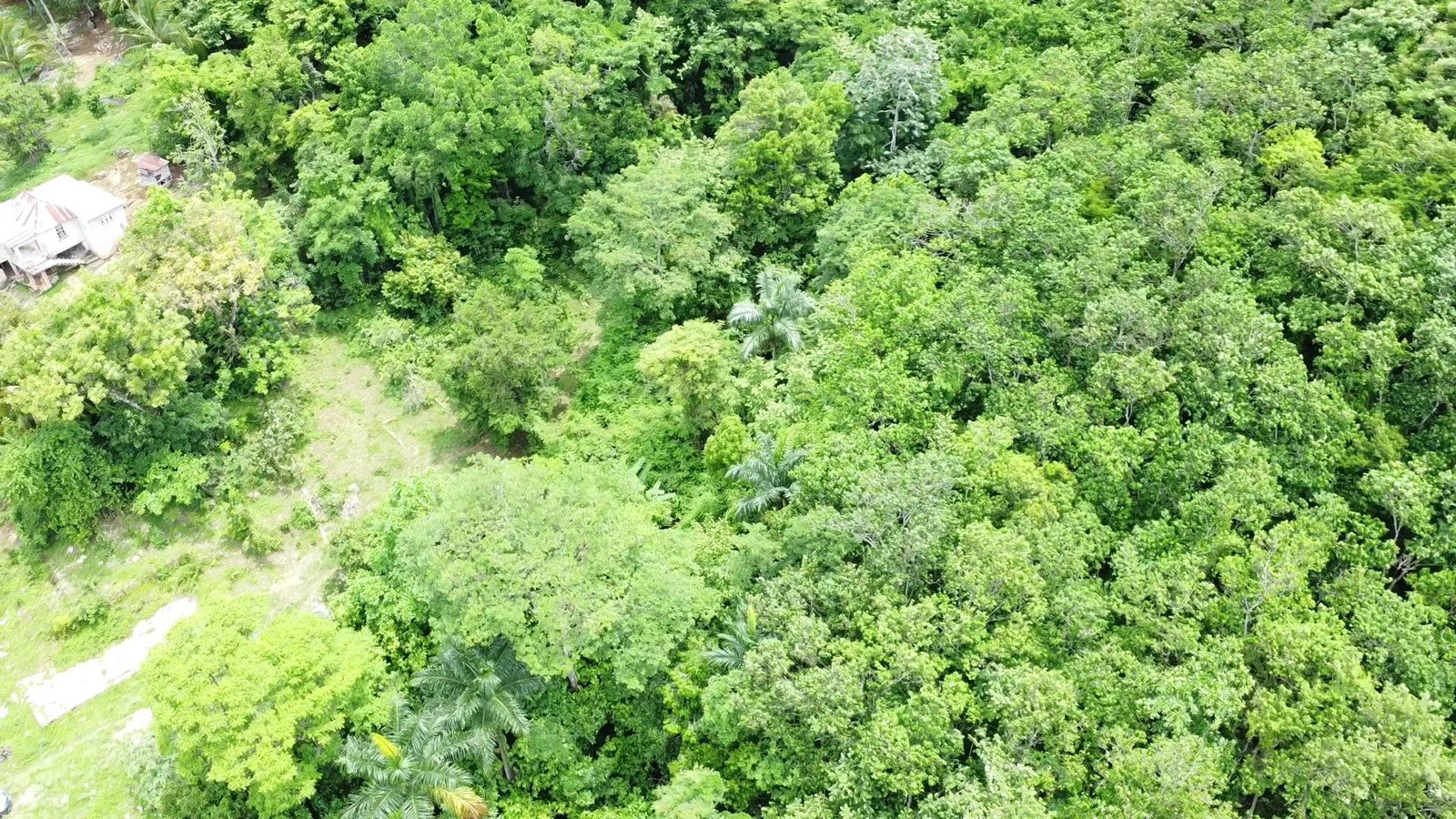 30.35-Acres-of-Prime-Development-Land-in-Trelawny-Jamaica Tenth image of Part of Freeman Hall in Ulster Spring, Trelawny, Jamaica - property is For Sale